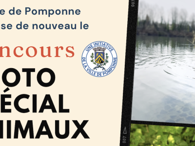RÉSULTATS CONCOURS PHOTO SPÉCIAL ANIMAUX - ÉDITION 2026